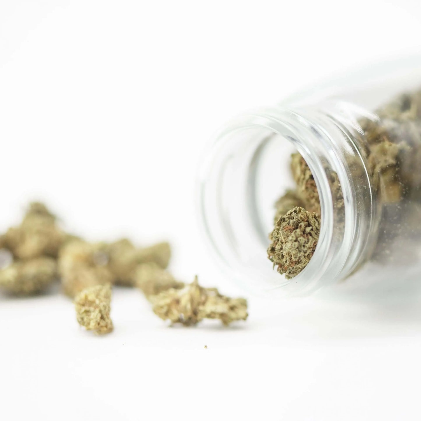 CBD Marijuana legal flower AK47 Haze (small bud) 1 gr