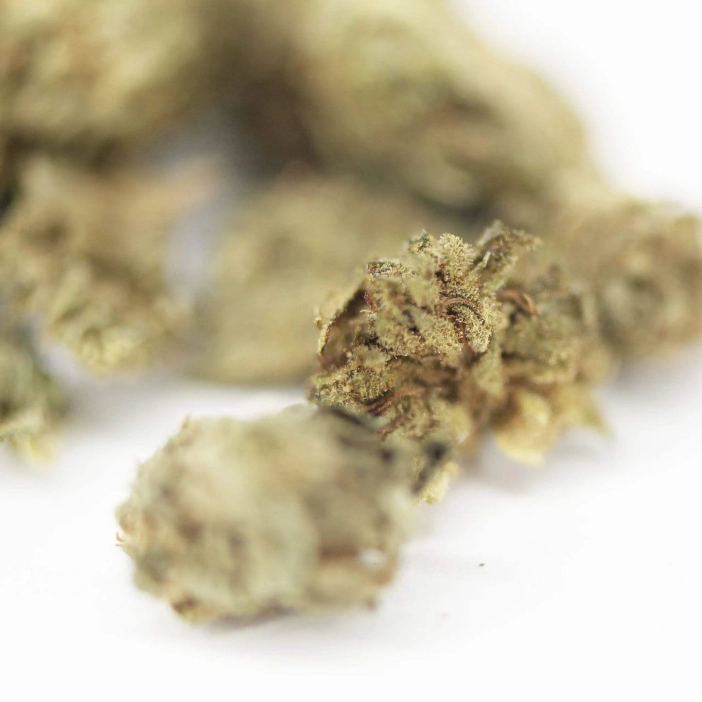 CBD Marijuana legal flower AK47 Haze (small bud) 1 gr